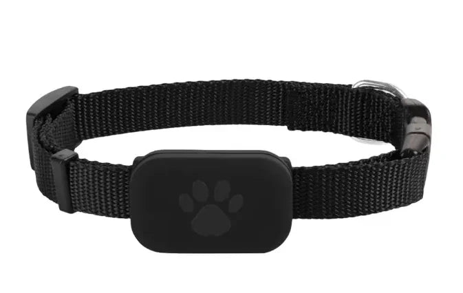 Collar rastreador GPS